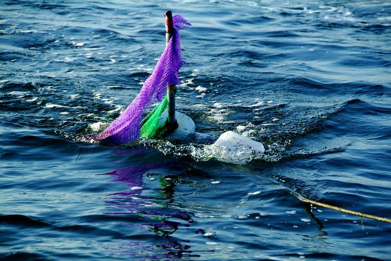 Fileyeur Arcachon ab7.JPG